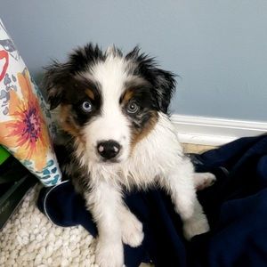 Meet your Posher, Elizabeth